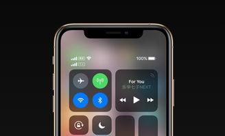 钛灰色苹果11最新爆料,外观设计大揭秘,性能升级引期待! 第3张 钛灰色苹果11最新爆料,外观设计大揭秘,性能升级引期待! 第3张