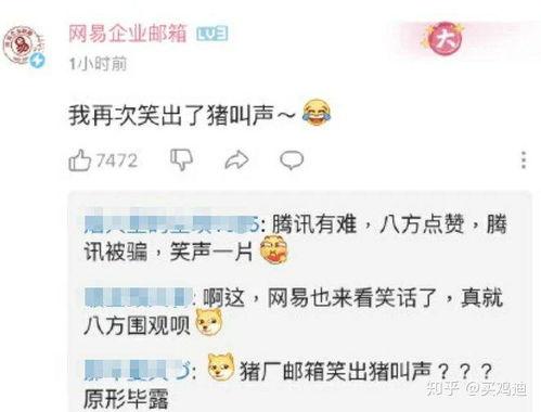 qq免费吃瓜扫一扫图片最新2024,扫一扫图片解锁新福利！